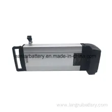 Electric Bike 48V 20ah Lithium Battery